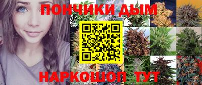молекула духа Бийск