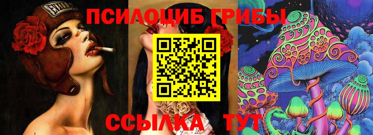 Псилоцибиновые грибы мицелий Кулебаки